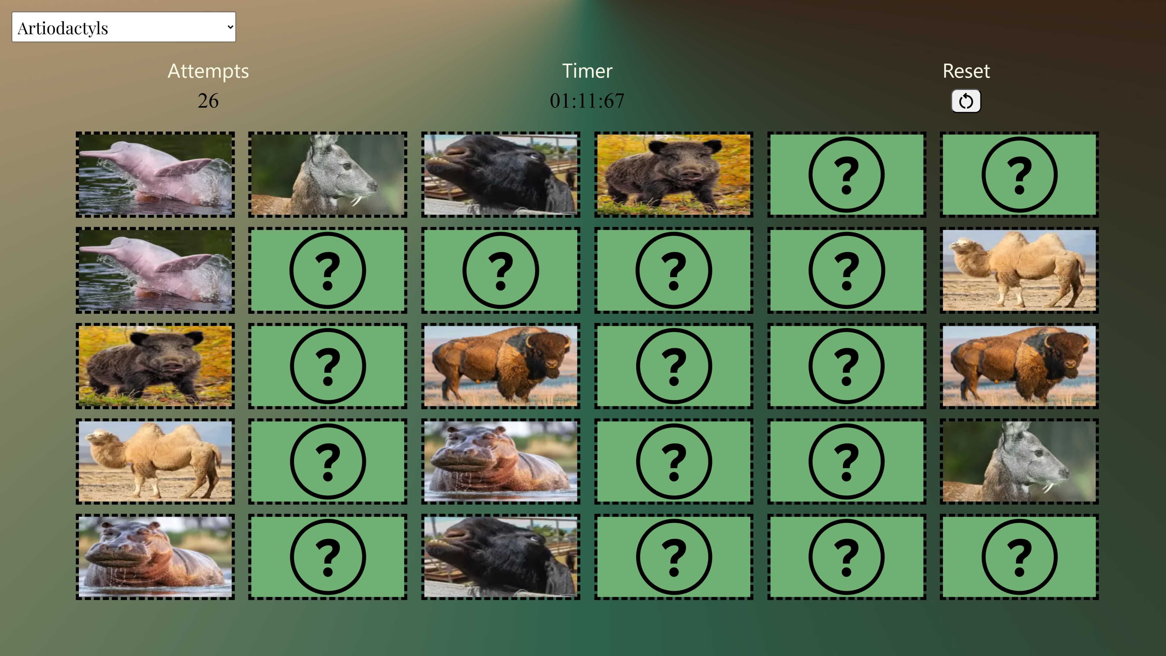 A thumbnail of the Match Game project.